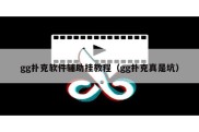 gg扑克软件辅助挂教程（gg扑克真是坑）