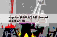 wepoker软件平台怎么样（wepoker是什么平台）