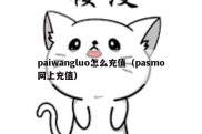 paiwangluo怎么充值（pasmo网上充值）