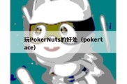 玩PokerNuts的好处（pokertace）