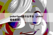 pokerland是什么平台（poker是啥意思）