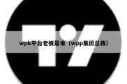 wpk平台老板是谁（wpp集团总裁）