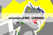 paiwangluo正规吗（正规的网拍）